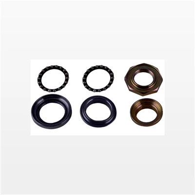 Steering Bearing SCY110T500239